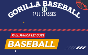 Gorilla baseball fall classes