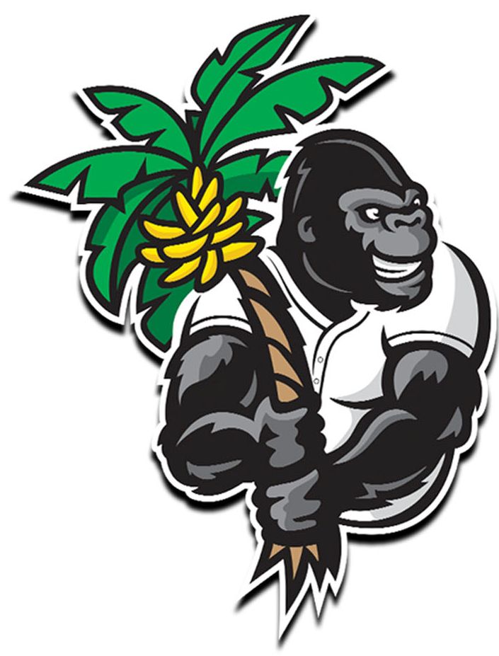 Gorilla Athletic Training